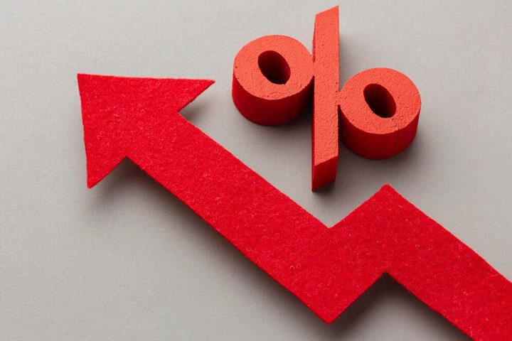 Фото: ru.freepik.com 