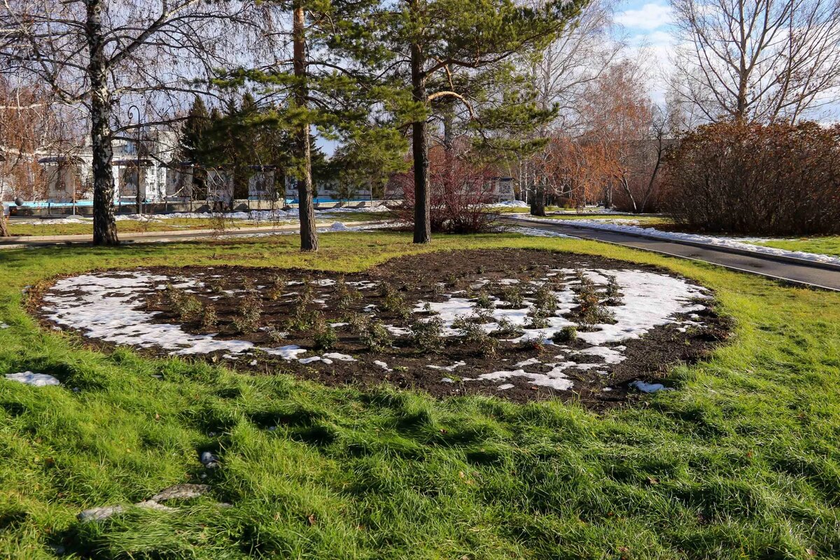 Ноябрьское потепление в Барнауле Источник: Виталий Барабаш/"Толк"