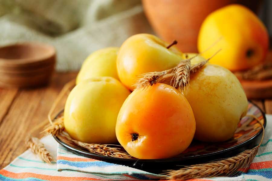    Фото: Malivan_Iuliia / Shutterstock.com