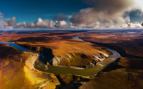 Фото из открытого источника