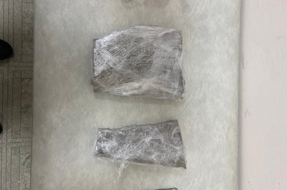    Иностранка пыталась вывезти из Приамурья останки доисторического носорога