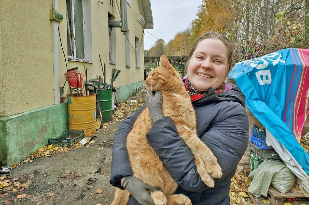    Закон о поддержке волонтеров и добровольцев приняли в Иркутской области