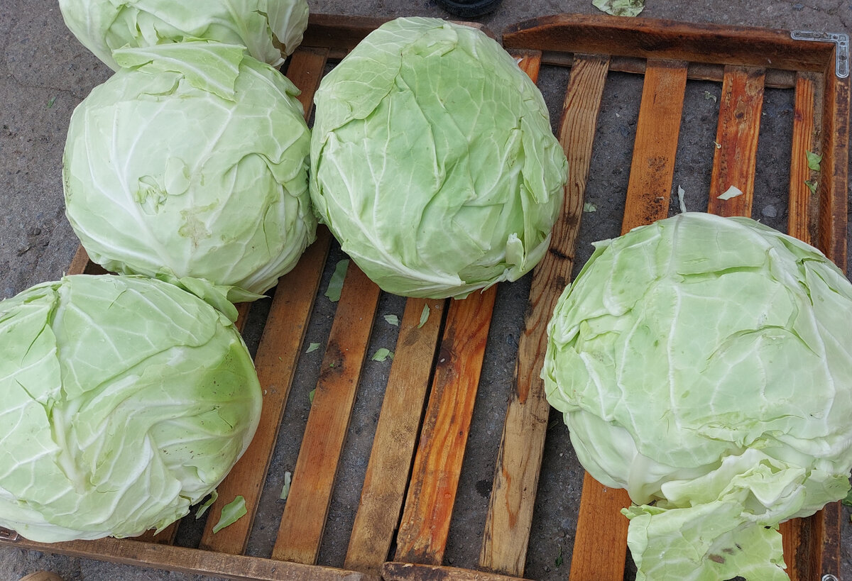 Фото автора жизнь на селе