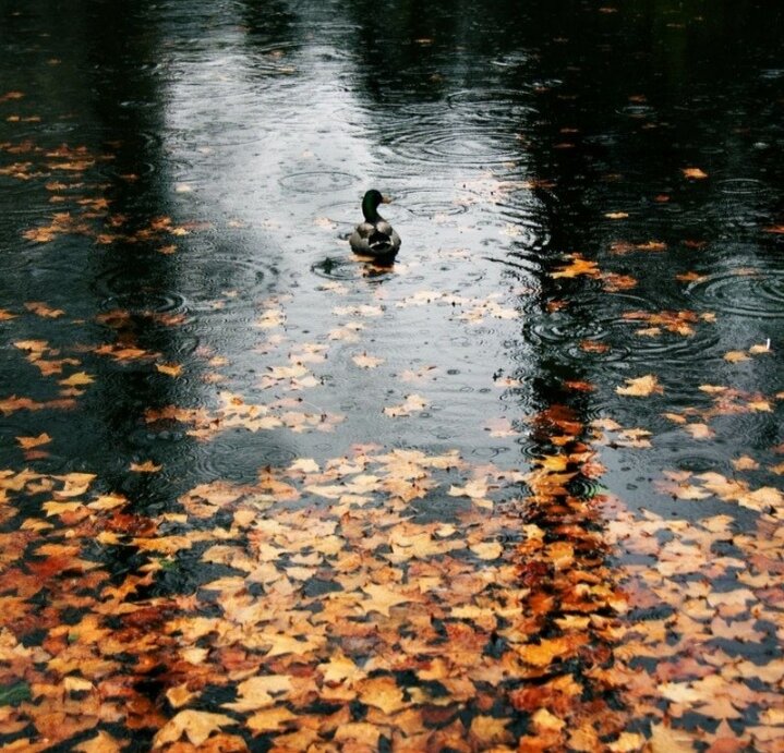 Любой период прекрасен