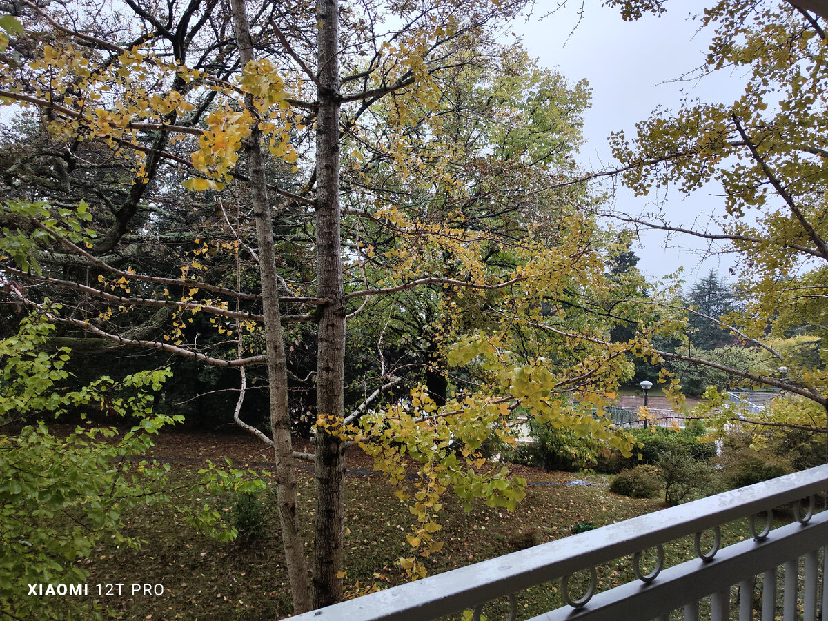 Вид с балкона 