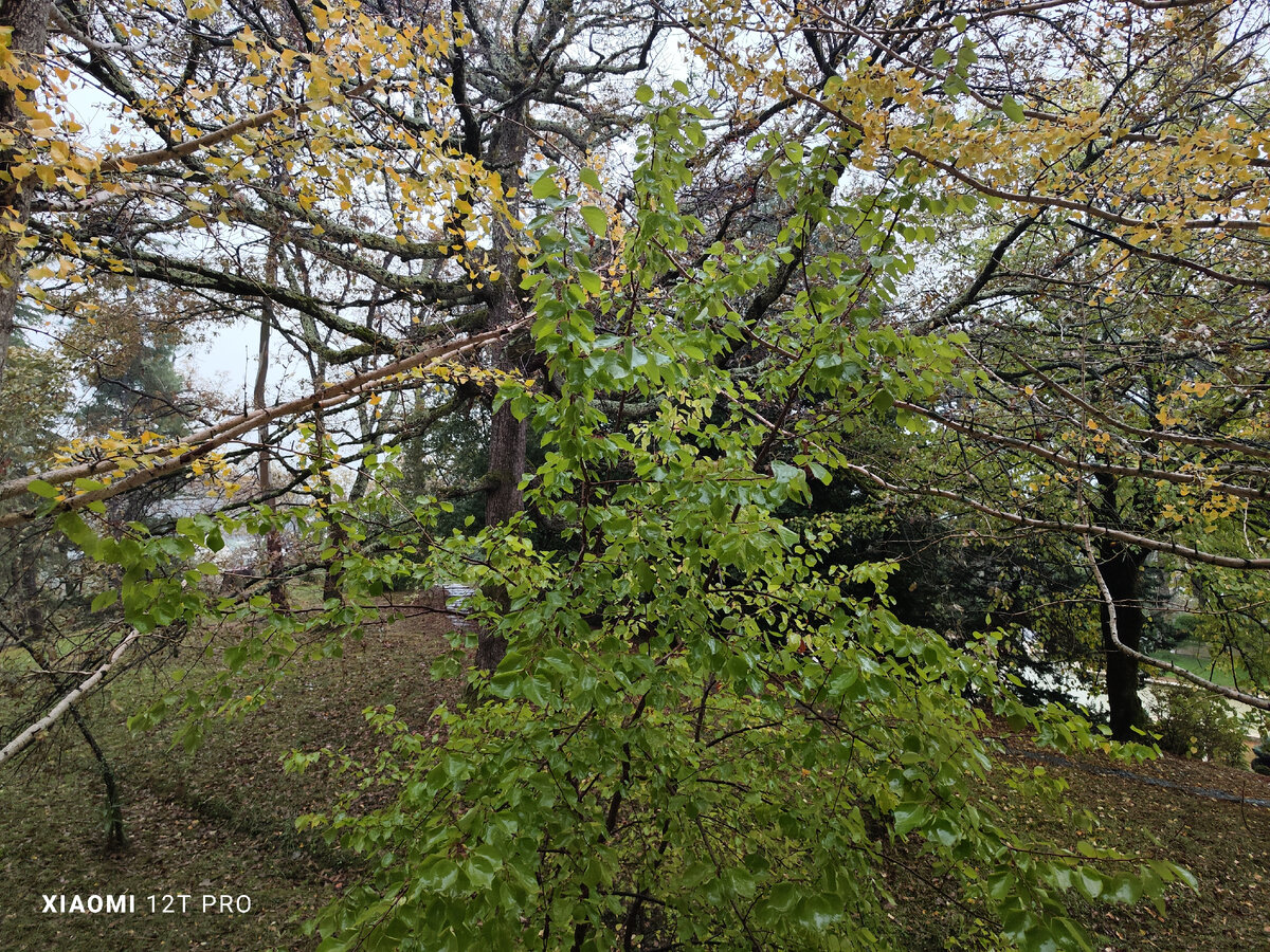 Вид с балкона 