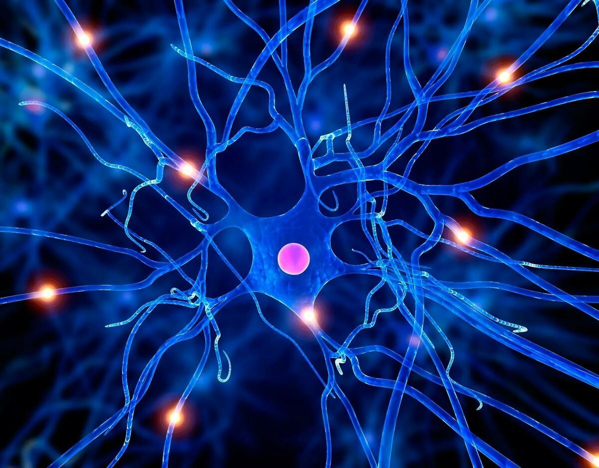 Нейронные боеприпасы. Нервная система Нейрон. Аксон нейрона микрофотография. Нейрон клетка головного мозга.