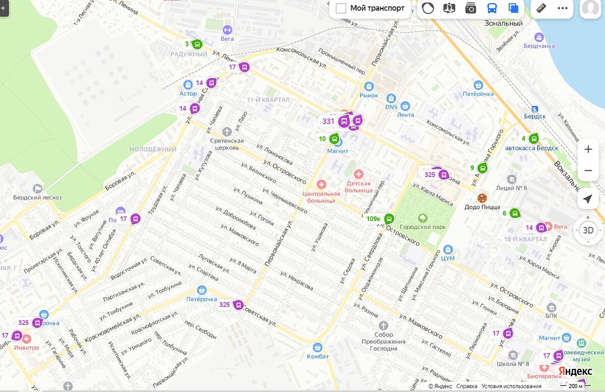 Подключить маршрутки к системам 2ГИС и Яндекс-транспорт настроен глава  Бердска | Бердск-Онлайн СМИ | Дзен