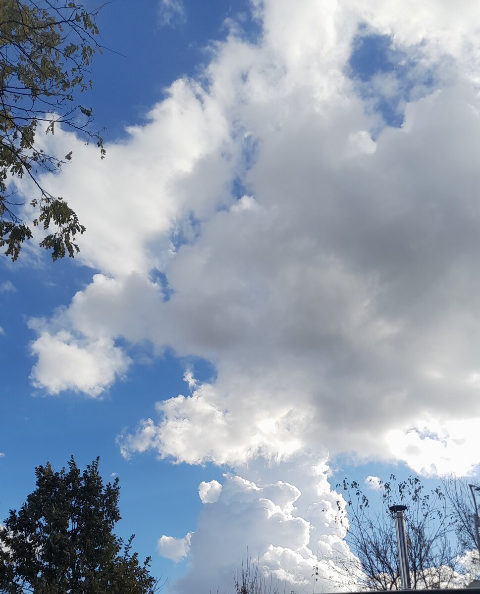 Облака. Всегда такие разные. Фото И.Т.