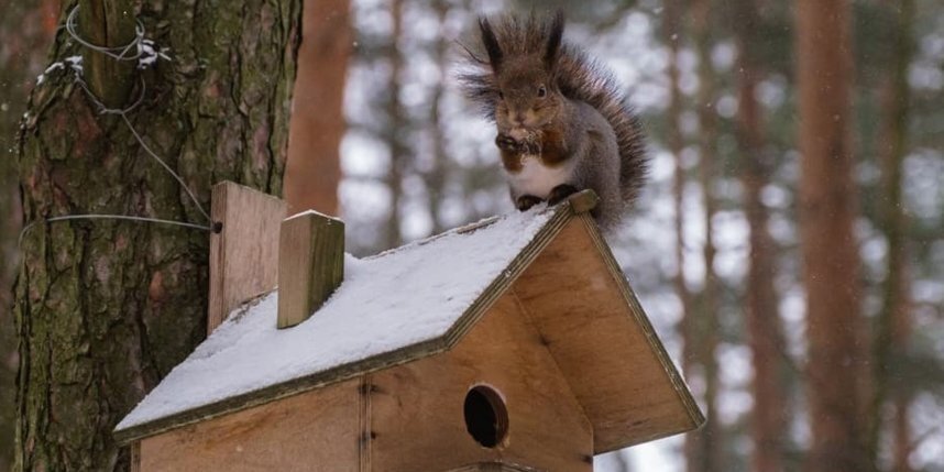    Алёна Бобрович.