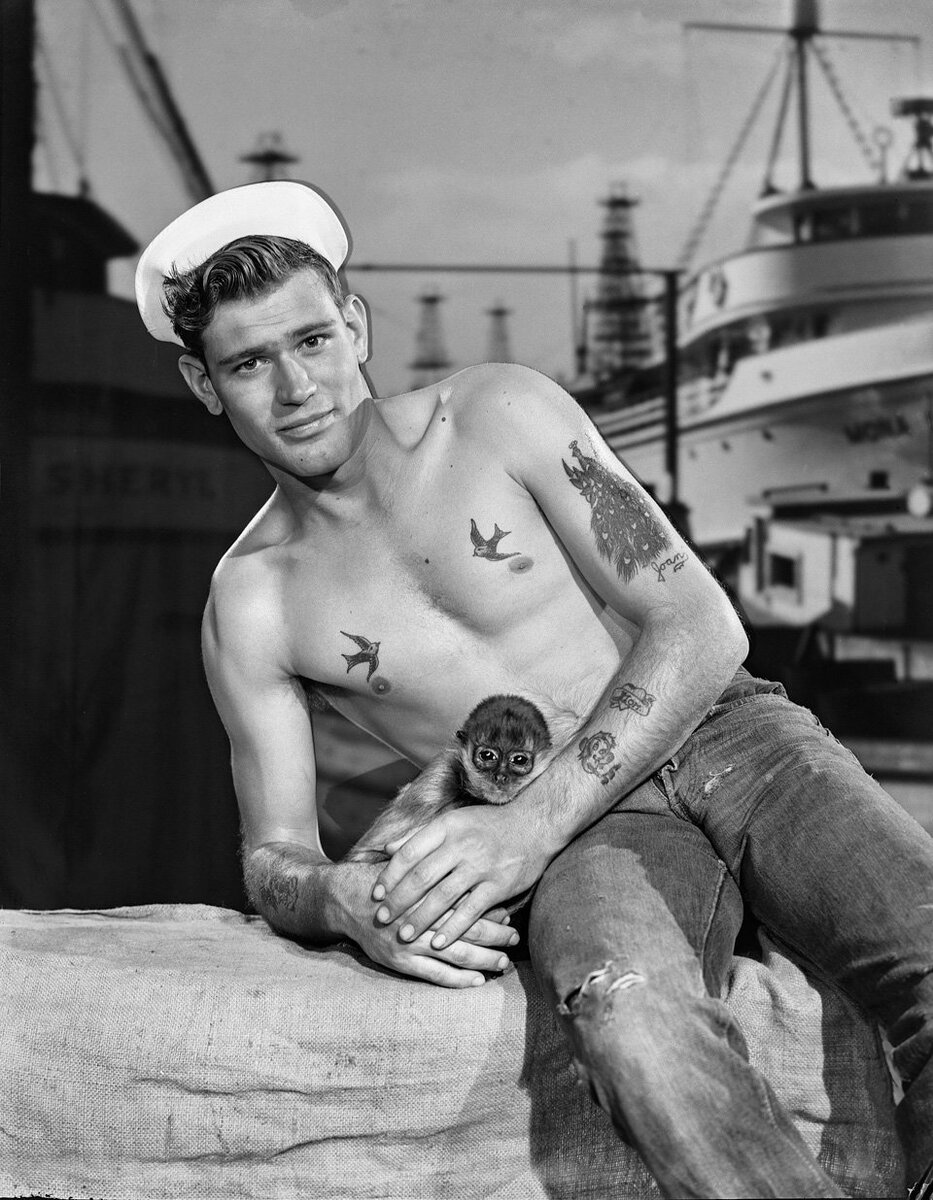 Фото из открытых источников