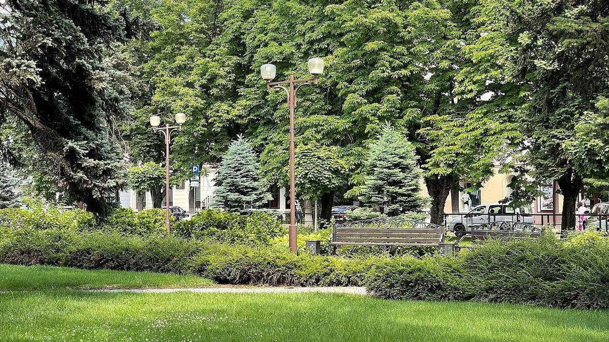    На Кубани сформировали 16 лесопарковых зелёных поясов. Фото: телеканал «Краснодар»