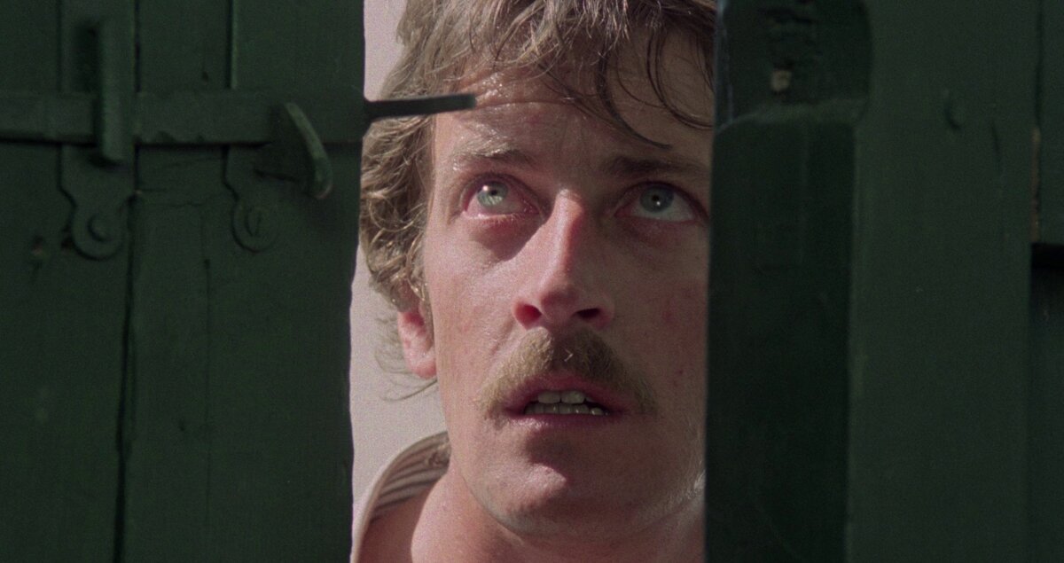 Откуда Стивен Кинг «слизал» «Детей кукурузы»? | НУАР-NOIR | Дзен