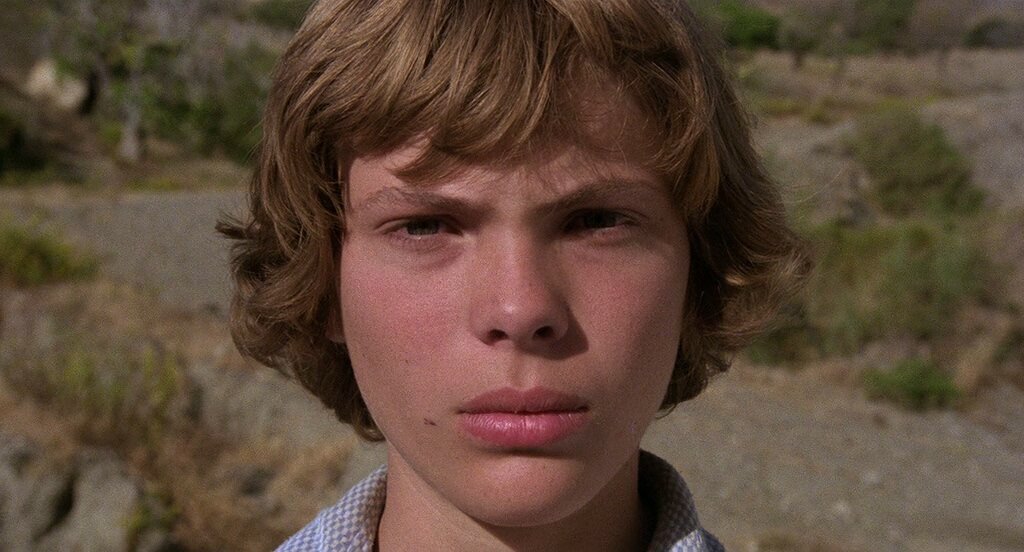 Откуда Стивен Кинг «слизал» «Детей кукурузы»? | НУАР-NOIR | Дзен