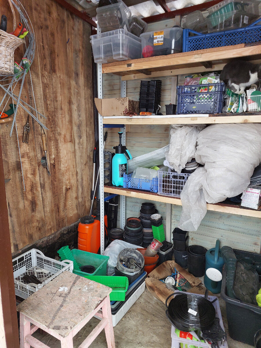 Порядок хранения уборочного инвентаря. Правила хранения инвентаря. Порядок хранения уборочного инвентаря. Правила хранения инвентаря. Правила хранения инвентаря.