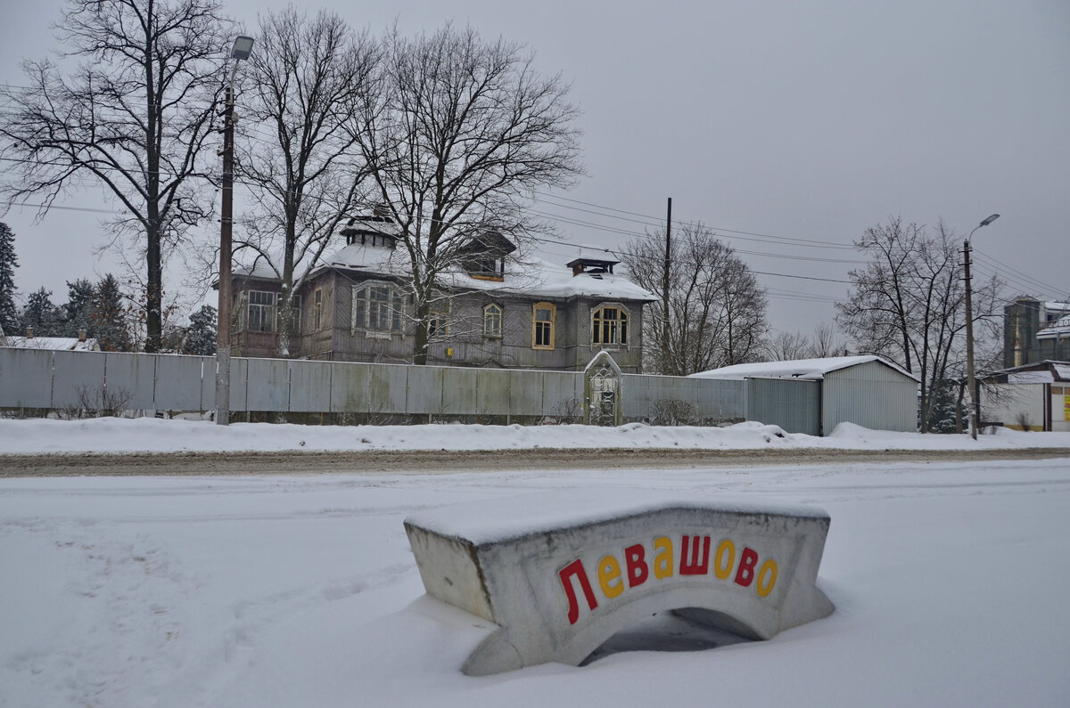 На краю большого города: как выглядит поселок Левашово, где 