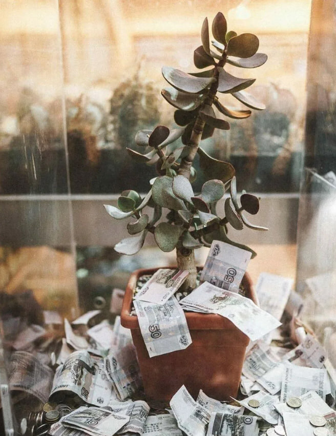 (фото из сети)