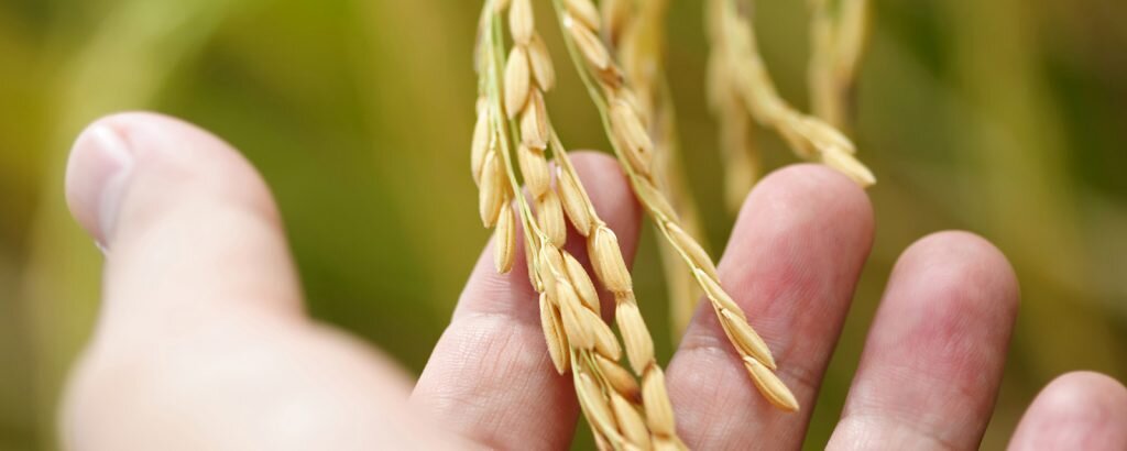    Фото iStock Анна Послянова