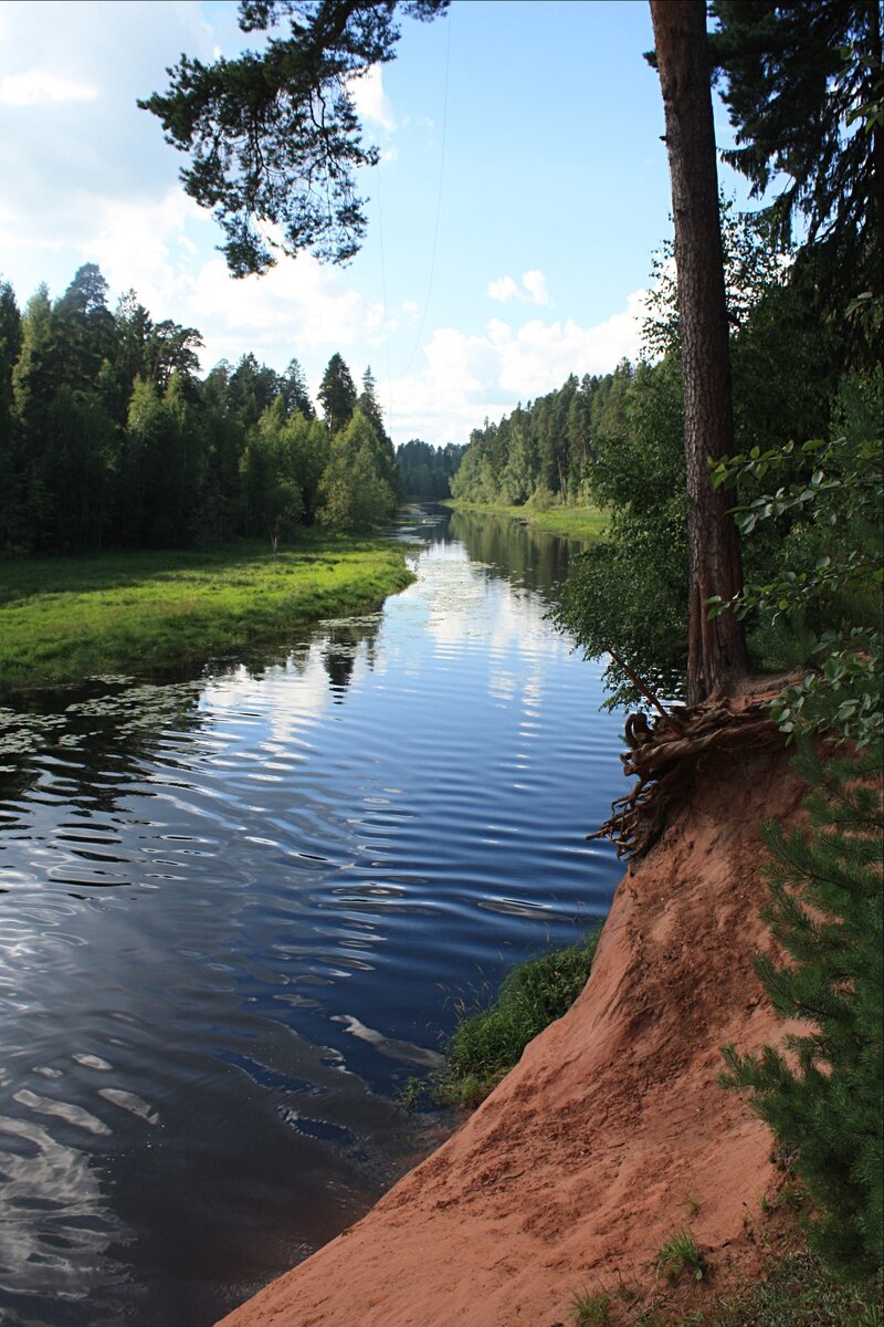 Ленинградская область, река Оредеж