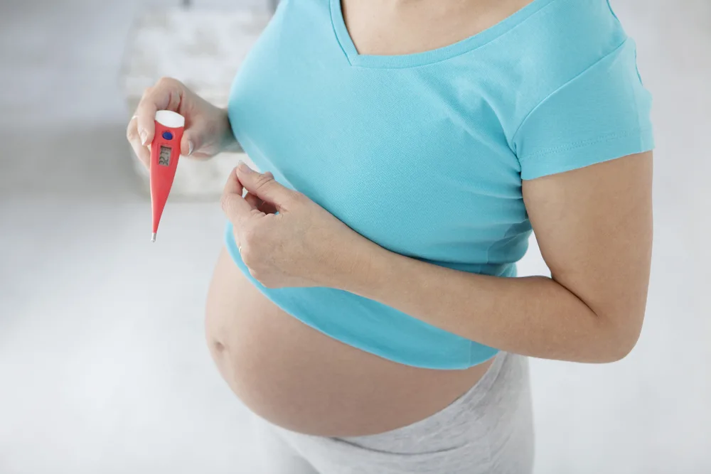 Почему у беременных повышается. Термометрия беременных. Тело беременных. Температура беременной.