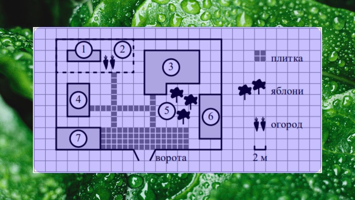 Схема задания для 