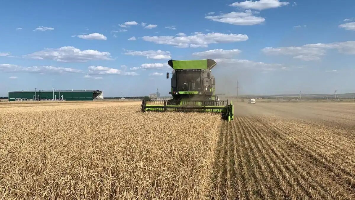 Фото: t.me/zoomlion_ag_russia Испытания китайского зерноуборочного комбайна Zoomlion TF150