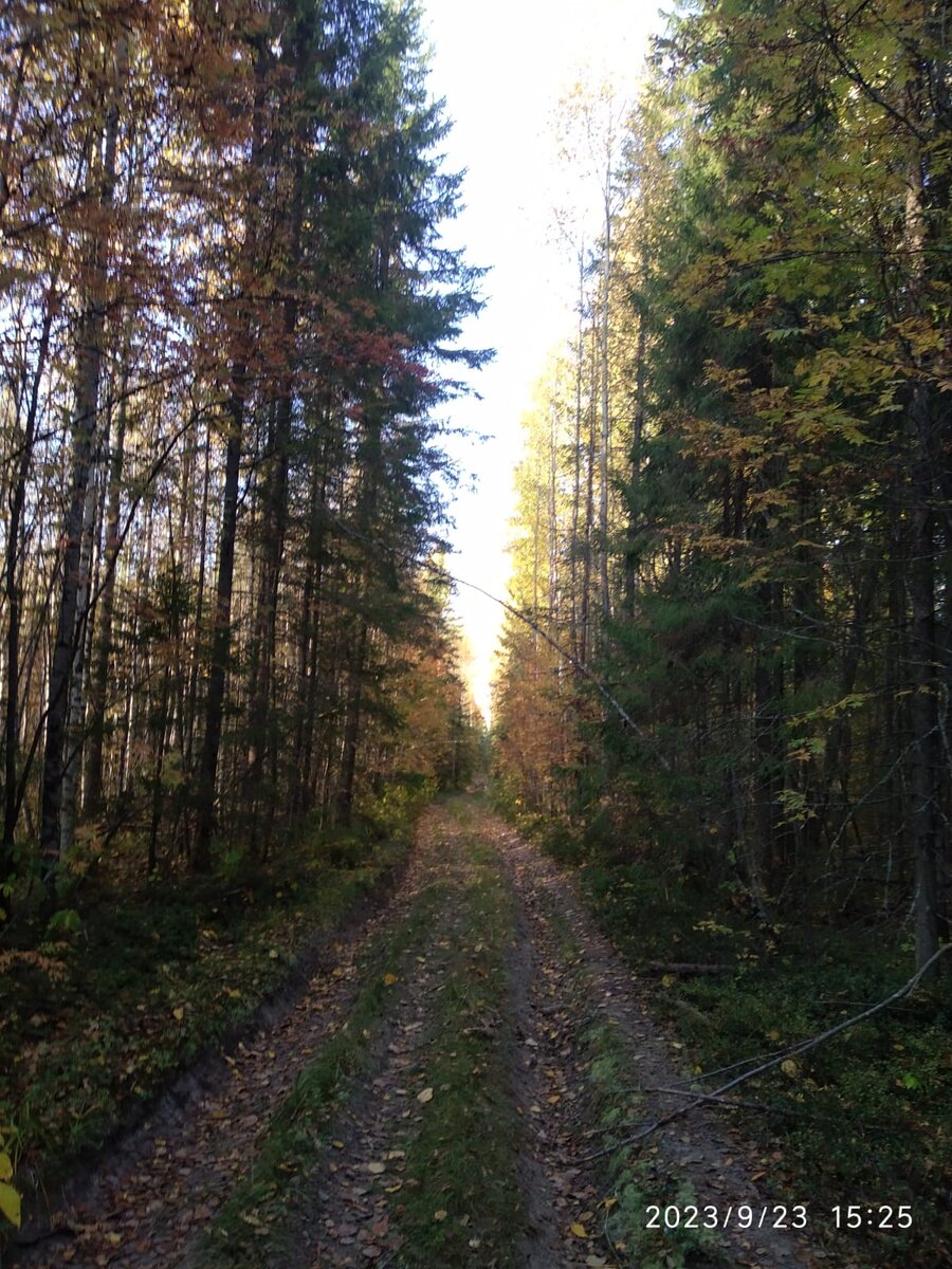 День памяти14 ноября.