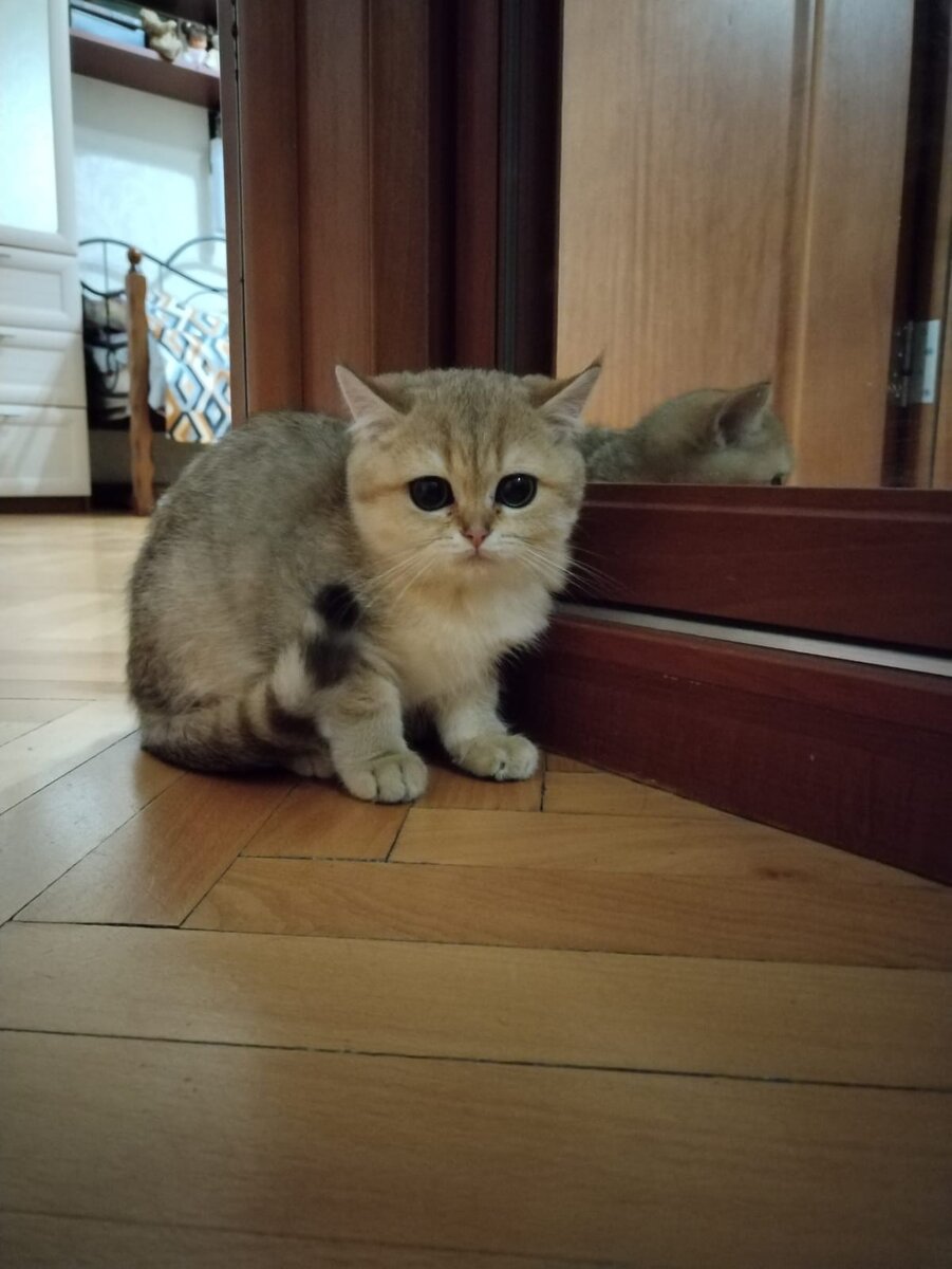 Перепуганный ребенок меньше часа как привезли.