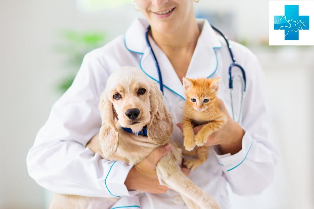 Ветеринарный врач на дом в Москве