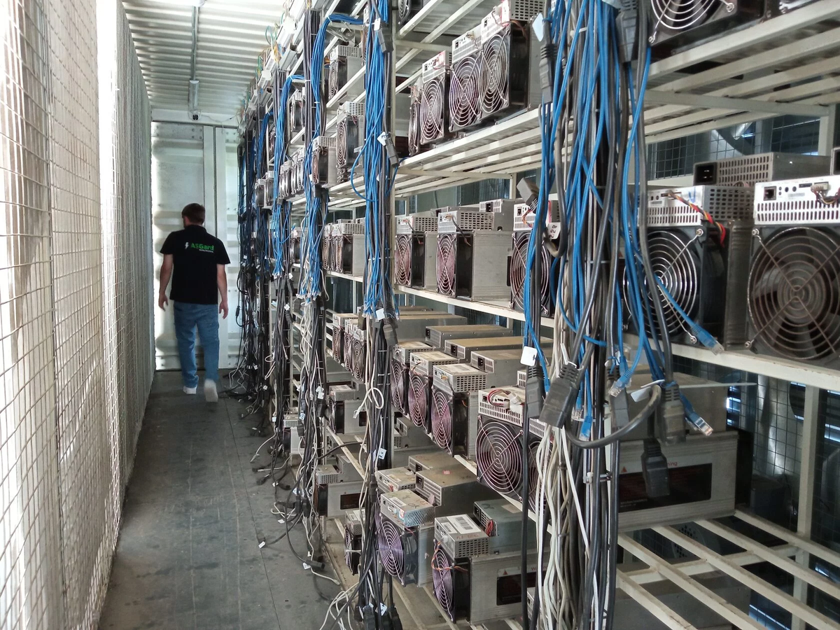 Хостинг для ASIC-майнеров изнутри