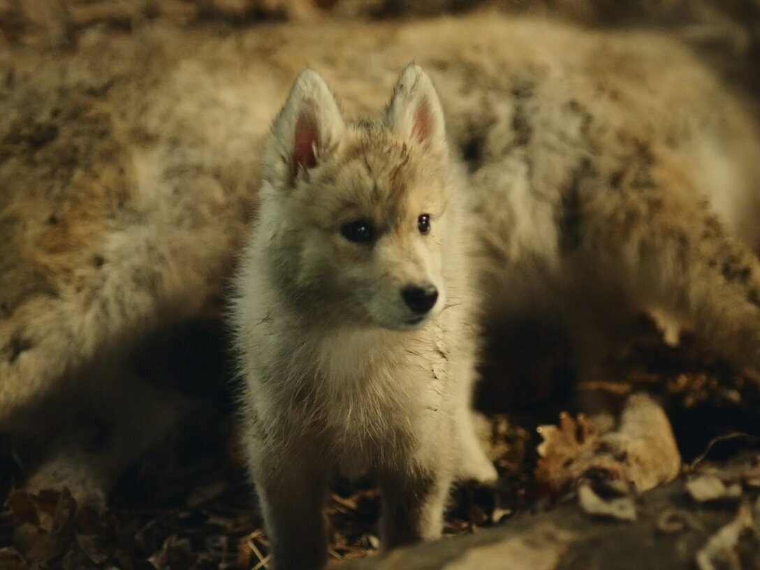 Кадр из сериала "Абрек"