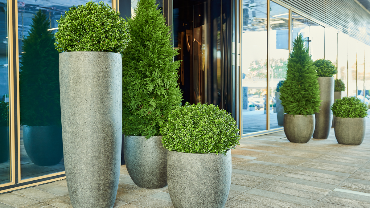 Кашпо и растения TREEZ Collection 