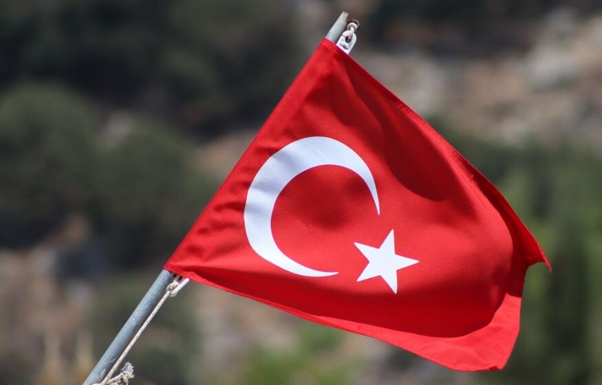    Парламент Турции обсудит заявку Швеции на вступление в НАТО