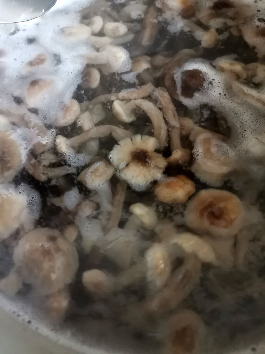 Заливаю водой, кладу замороженные грибы, довожу до кипения и провариваю минут 10.