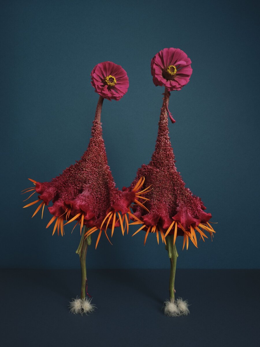     2 место. Natalie Strohmaier, all-about-photo.com