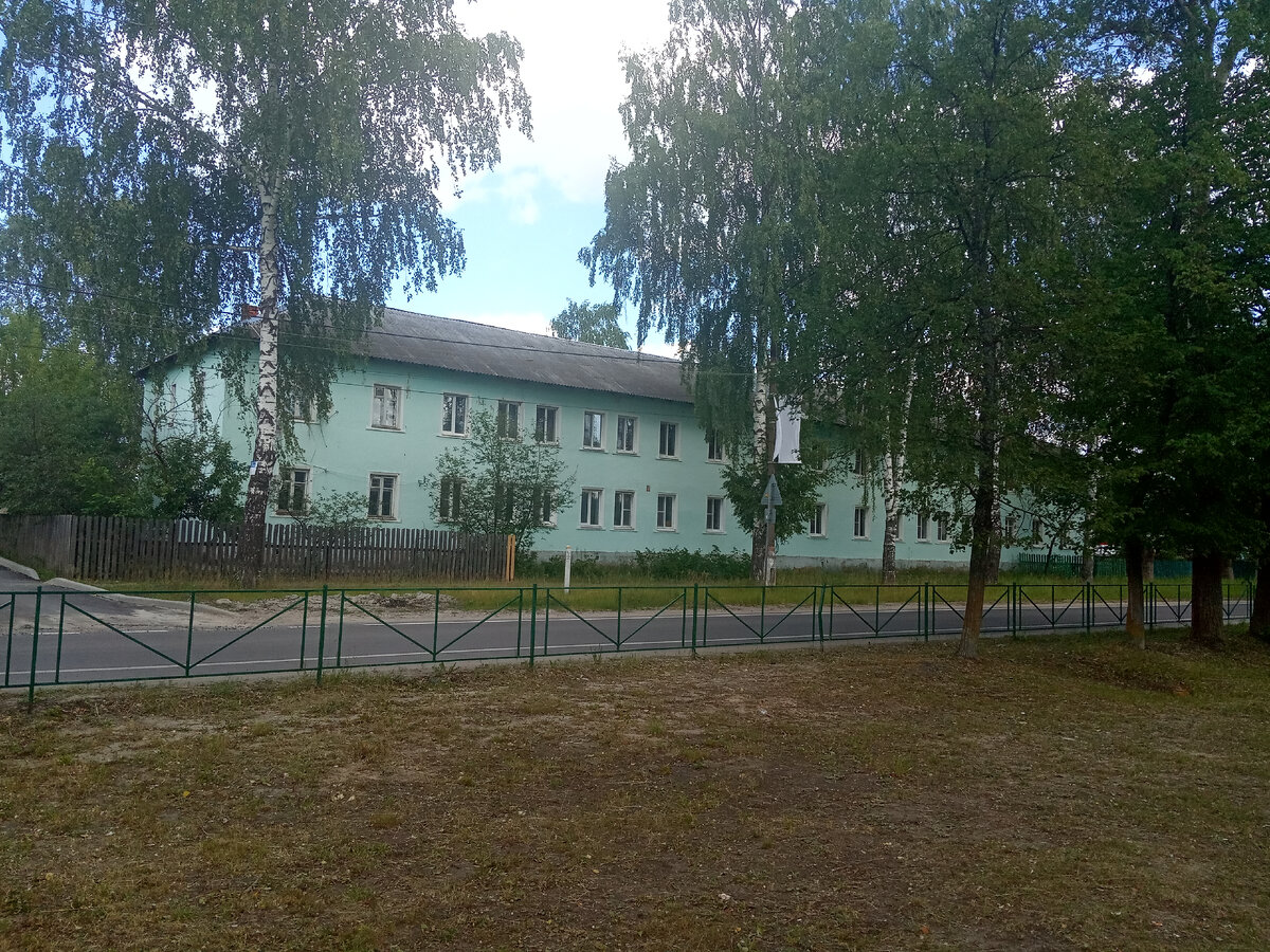 Фотопост: прогулка по лесам при пос. Мишеронский, 18.06.2023 |  Железнодорожье и его окрестности | Дзен