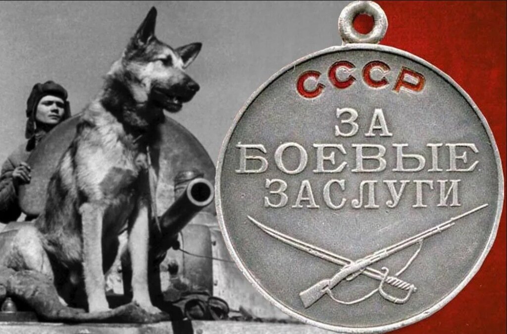 Фото взято из открытого источника