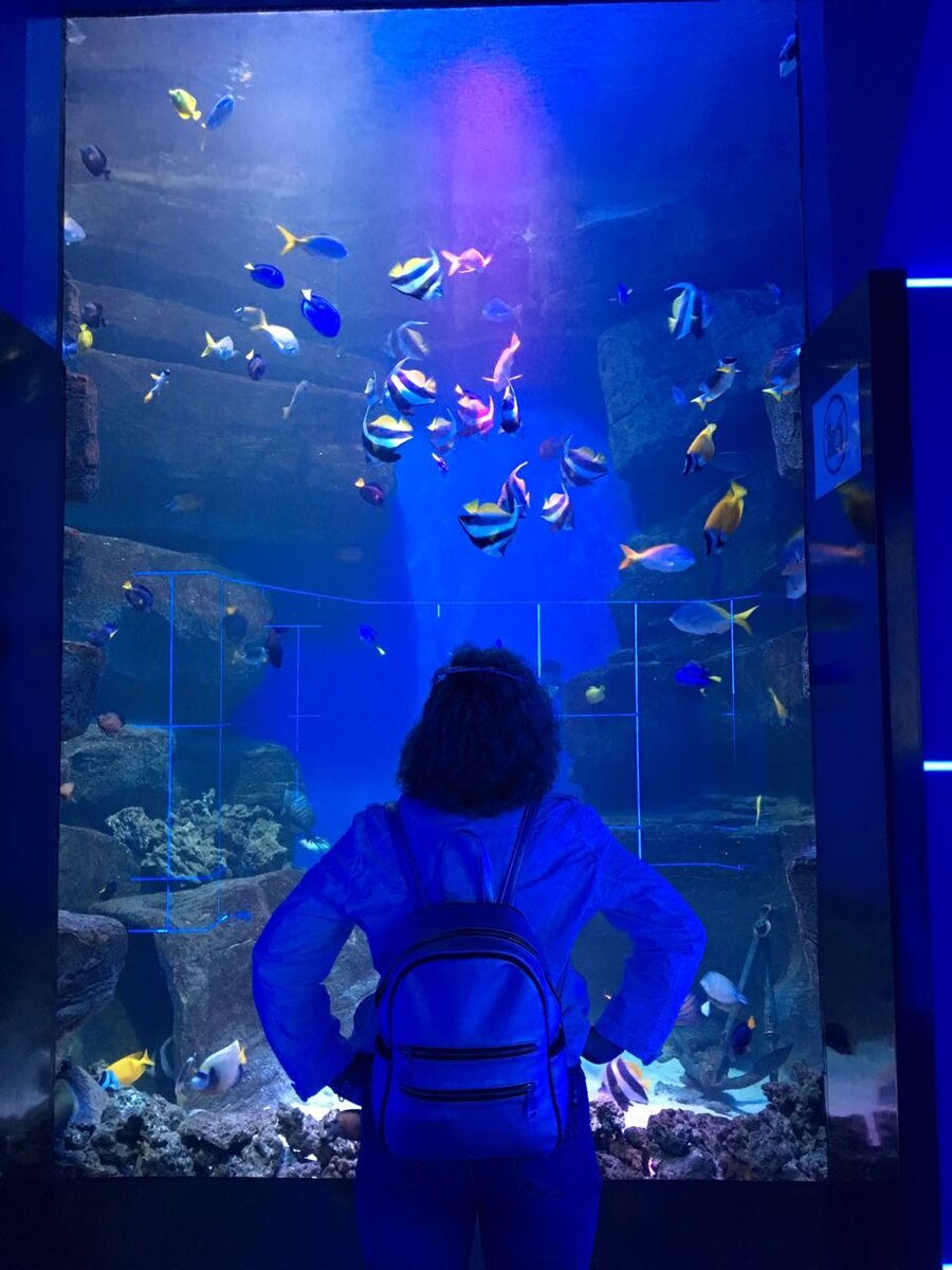 Глубина! Новосибирский океанариум.2018г