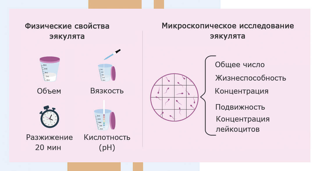 Исследование эякулята