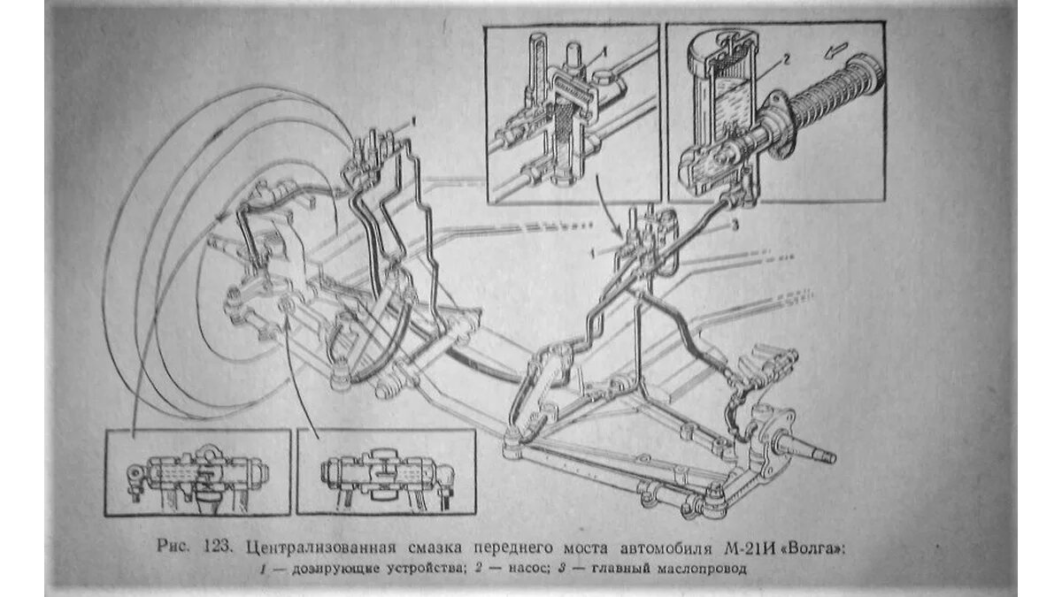 Мужчина снизу. Спецпроект «Фото на документы» | Автопилот | Дзен