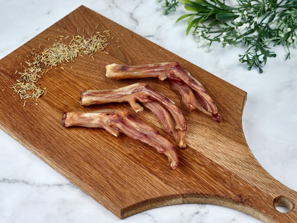 Ноги водоплавающих птиц. Перепонки у водоплавающих птиц. Утиные лапы. Утиные лапы. Гусиные лапы.