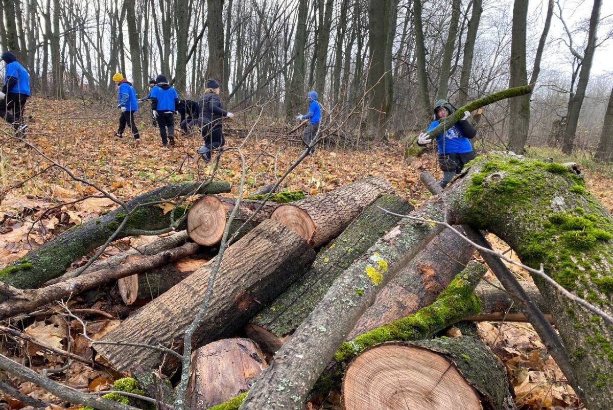    В усадьбе Федяшево подготовились к открытию Аллеи Памяти