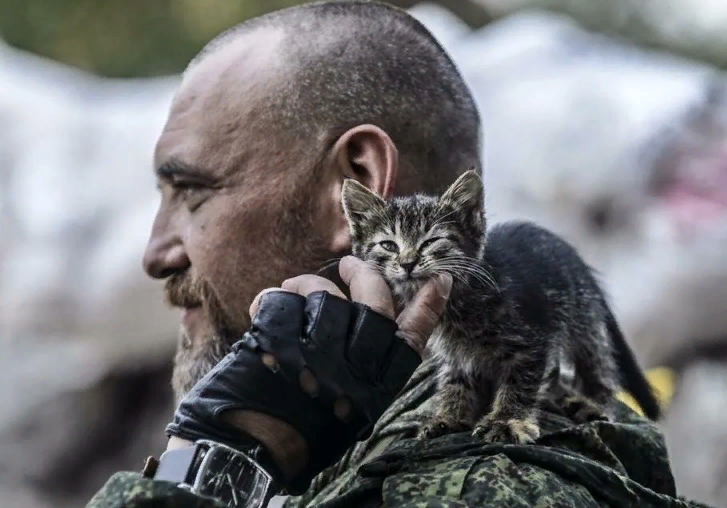 Яндекс-картинки