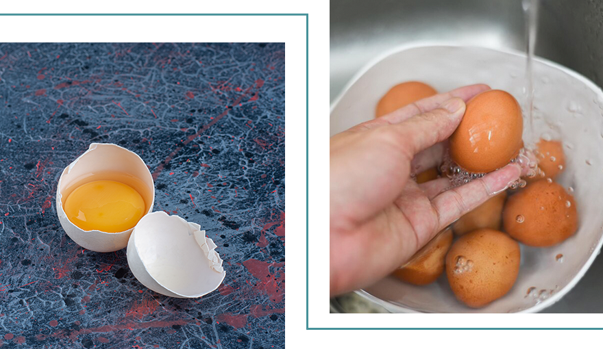Болезни яиц: два желтка, мягкая и тонкая скорлупа, кровь в яйцах, куры клюют яйца