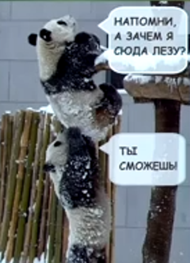 все еще актуальна!