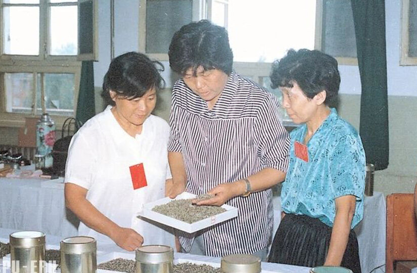 Фото: puercn.com