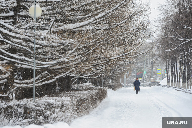    В регионе с 15 по 17 ноября ожидаются осадки в виде мокрого и сильного снега