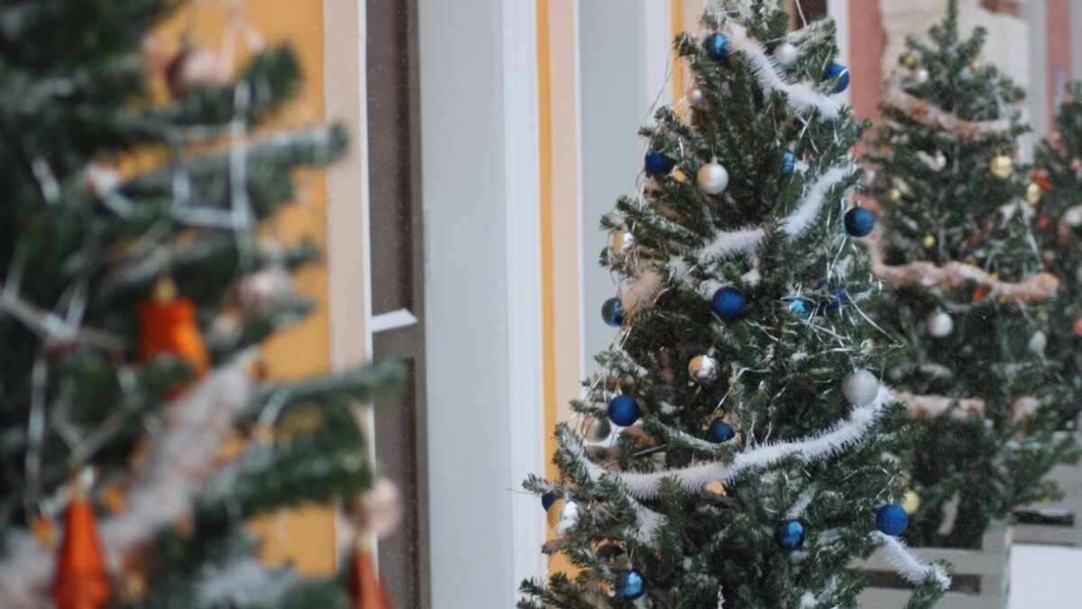 ИА «Тульская пресса»📷
