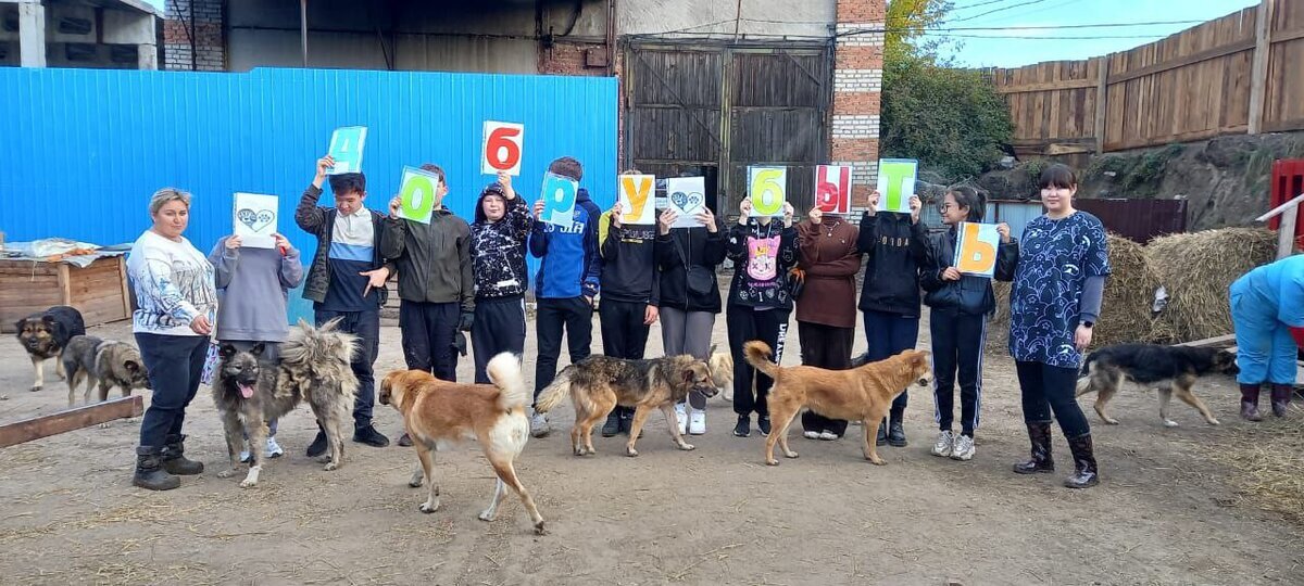 Дети одной из школ г.Улан-Удэ привезли в приют Ананда помощь и устроили такой флешмоб.         Фотография с канала Эпицентр добра