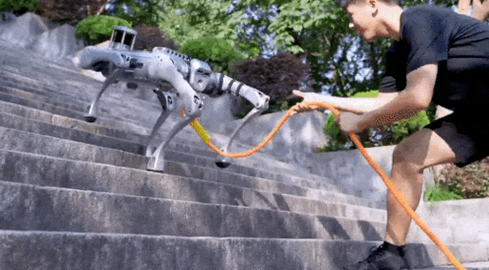   Unitree Robotics / Youtube